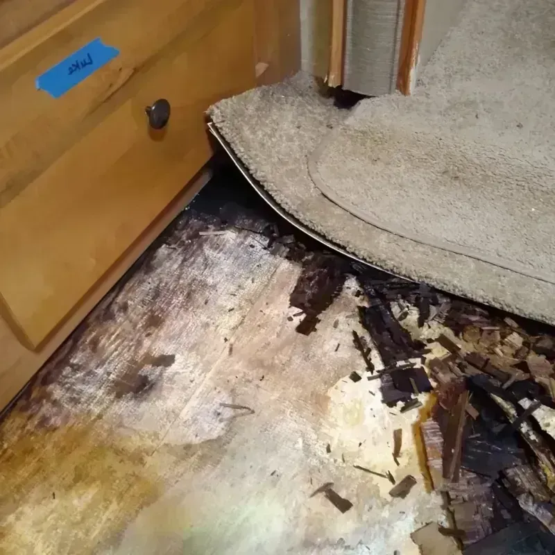 Best Wood Floor Water Damage Service in Eagle Mountain, TX